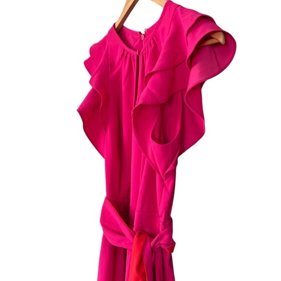 NWT, J. Crew Ruffle Sleeve Pink Jumpsuit with Tie Belt, Size 8 - Picture 6 of 11